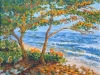 on the beach. SOLD